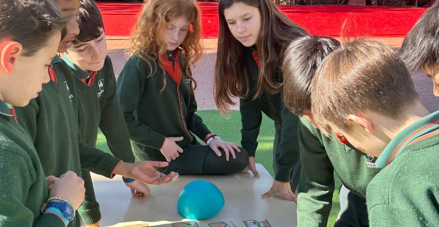 St. patrick school_trobarescola